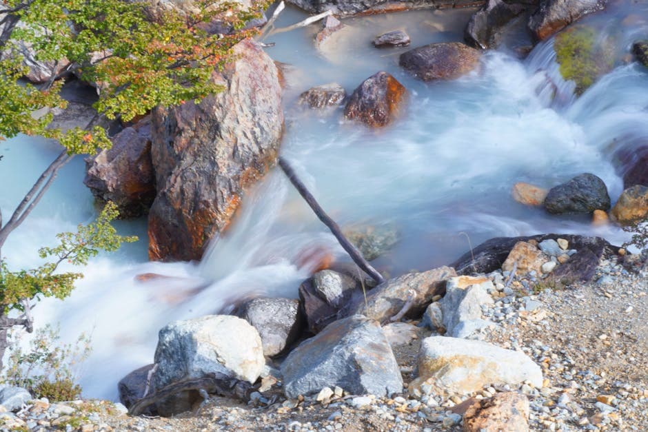 Long exposure of a flowing stream amid rocks and foliage in Ushuaia, Argentina.