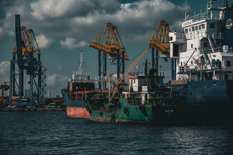 Cargo ships and cranes in an industrial port in Istanbul. Captured on a cloudy day.