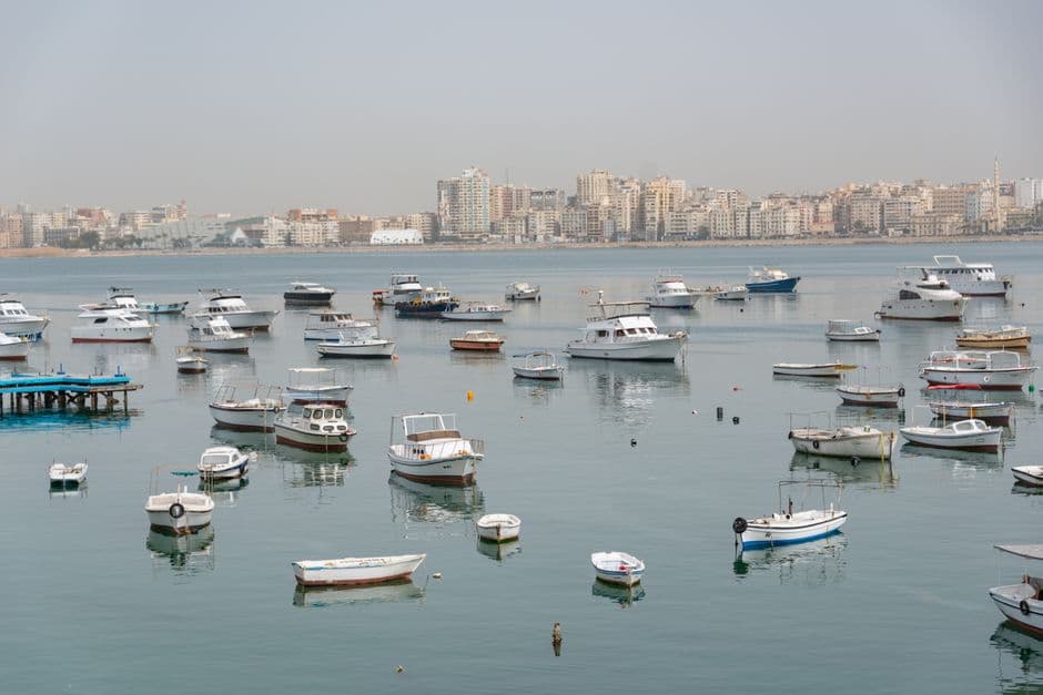 A serene marina with boats moored, set against a distant city skyline.