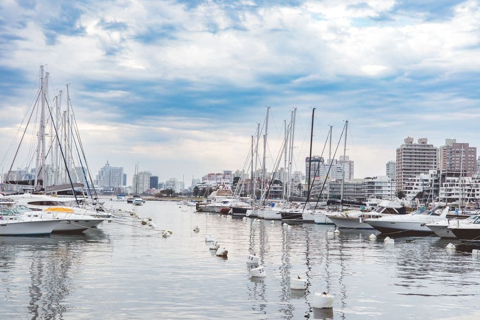 Tranquil marina scene with yachts moored and urban skyline backdrop under a beautiful sky.