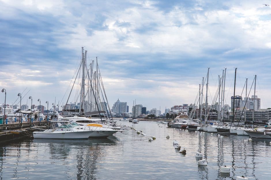 Beautiful marina with sailboats docked and a city skyline in the background under a cloudy sky.