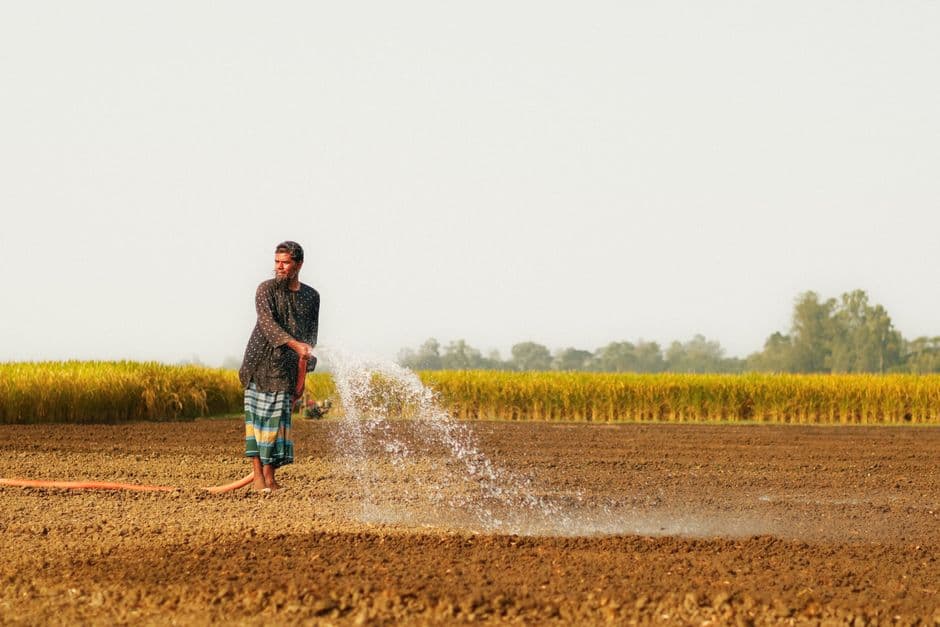 A farmer irrigating a field in Pabna, Bangladesh, showcasing traditional agriculture.