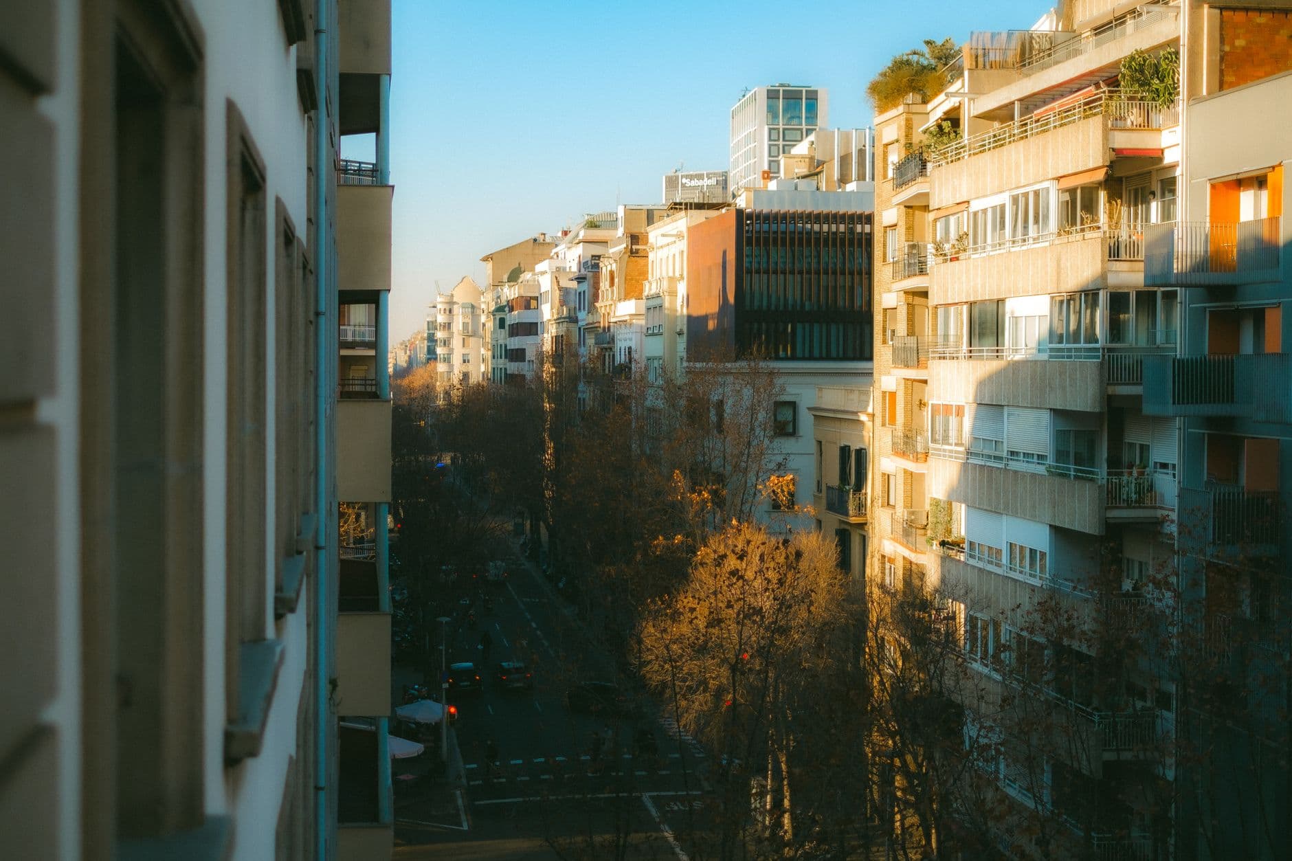 Stunning urban street scene showcasing modern architecture and trees in golden sunset light.