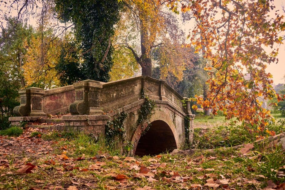 Charming stone bridge surrounded by autumn foliage in a tranquil park setting, Uruguay.