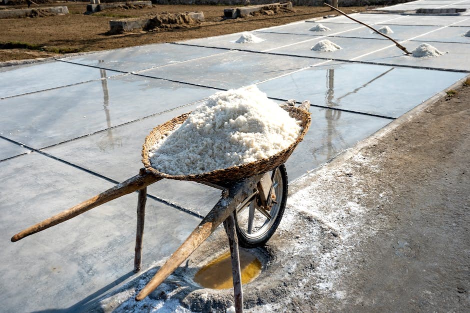A wheelbarrow filled with freshly harvested salt in a sunny outdoor field.