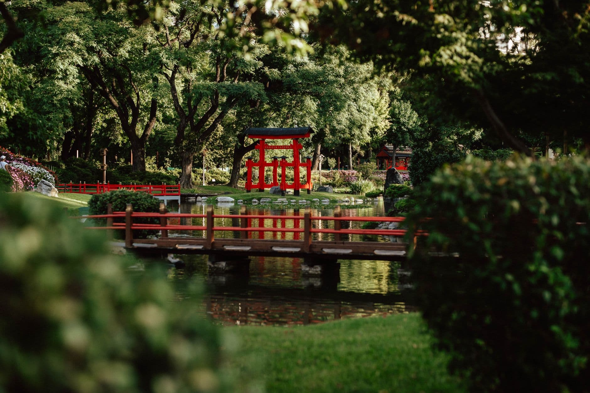 Beautiful Japanese-style garden in Buenos Aires featuring a red torii gate over a pond.