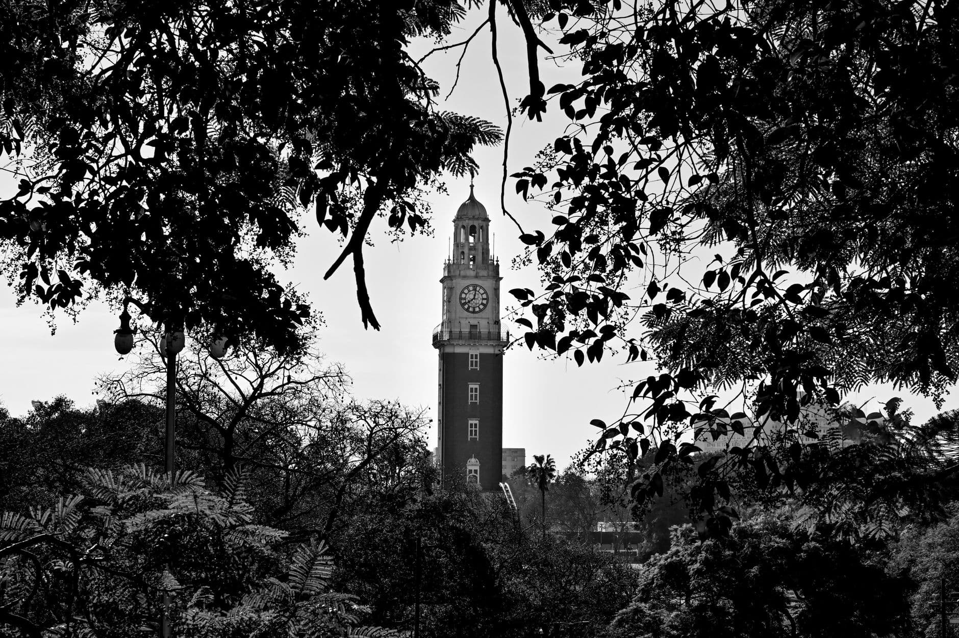 Black and white photo of a clock tower framed by trees, creating a classic urban view.