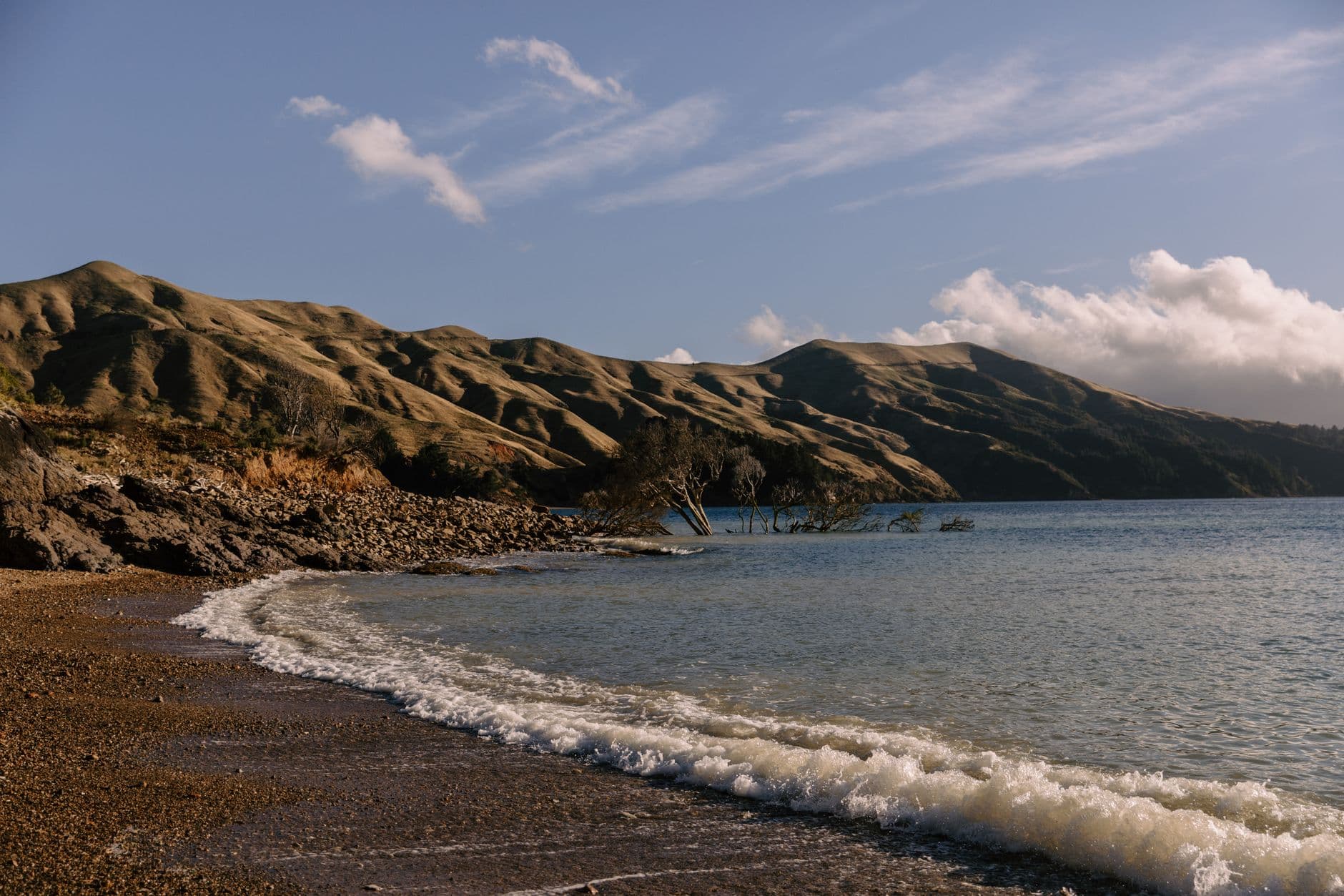 Explore the stunning coastline of Marlborough Sounds in New Zealand, featuring pristine beaches and rolling hills.