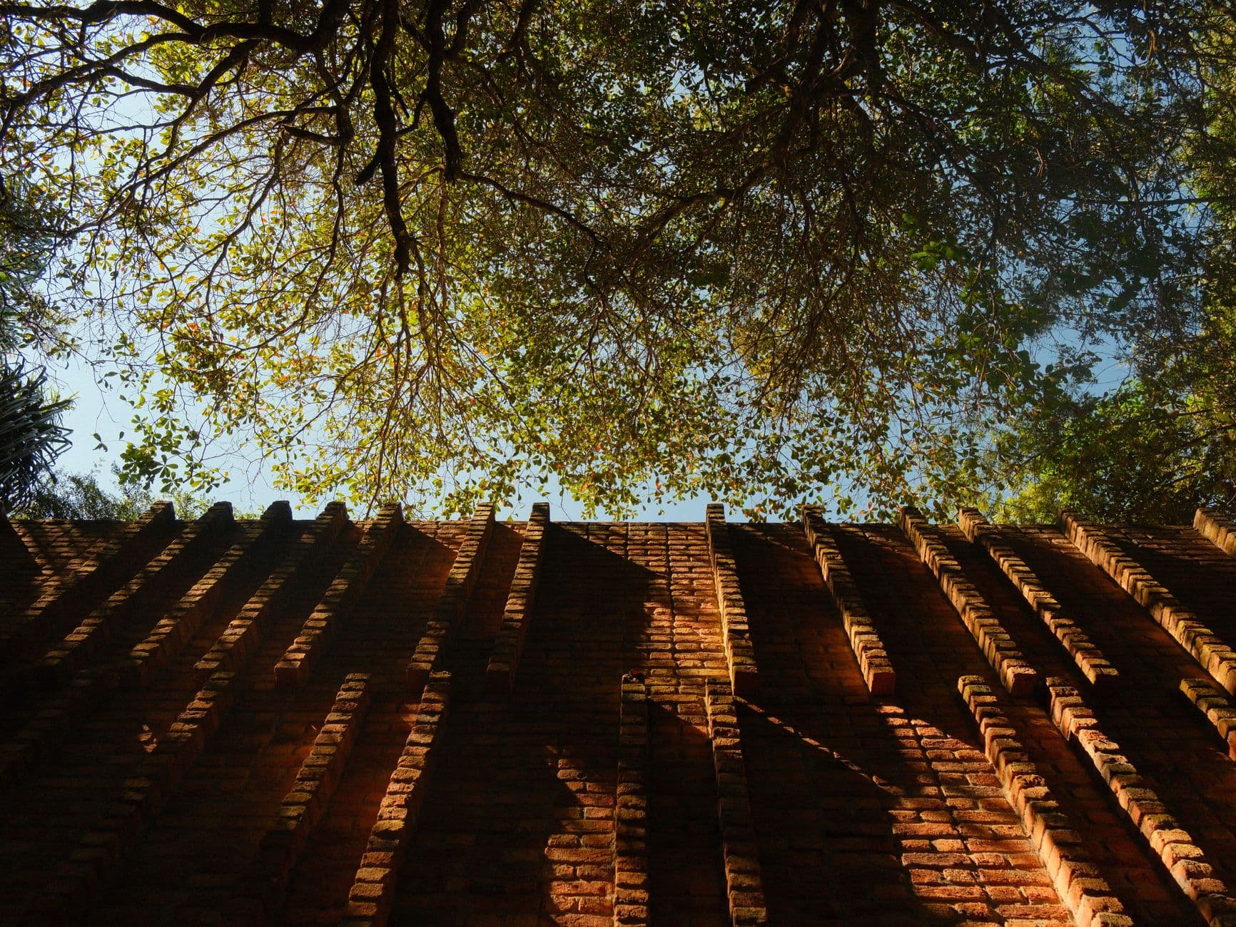 A scenic view of a brick wall under the canopy of trees at Inhotim, capturing shadows and sunlight.
