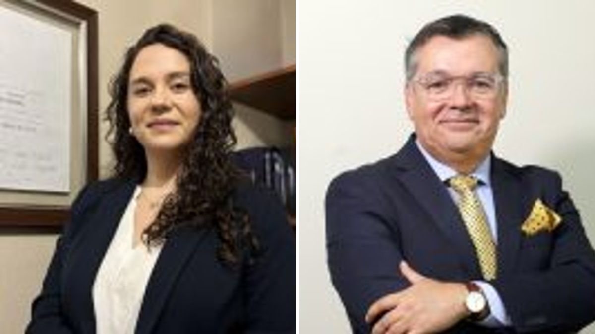 Constanza Castillo Hernández y Vicente Díaz Godoy — Amnistía y exención de responsabilidad civil a miembros de las Fuerzas Armadas y de Orden y Seguridad en el periodo que se indica