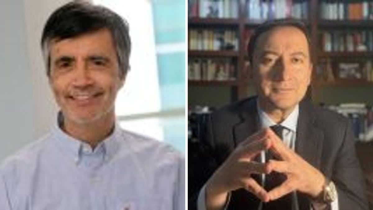 Álvaro Anríquez y Claudio Palavecino Cáceres — Colegiatura obligatoria para el control ético, ¿es un medio adecuado?