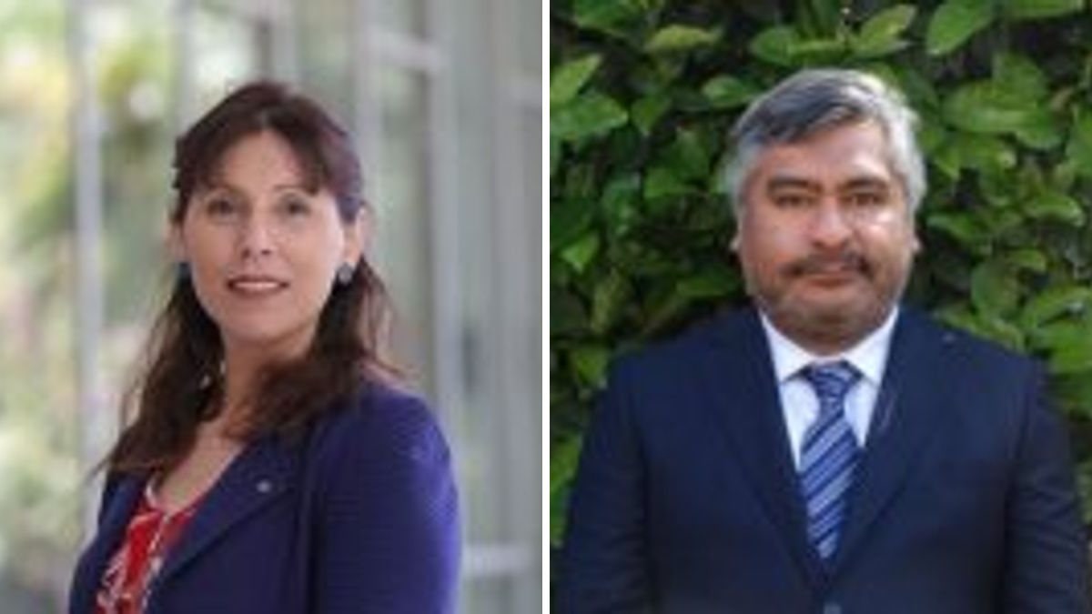 Ángela Arenas Massa y Rodrigo Poyanco Bugueño — ¿Es el cuidado un derecho autónomo o un presupuesto para ejercer otros derechos?