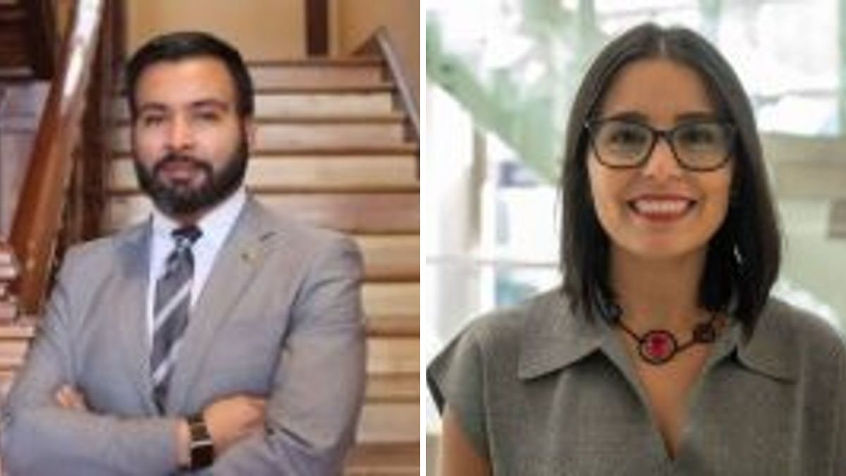 Nicolás Ibáñez Meza y Fabiola Lathrop Gómez — ¿Escuchar para proteger? La voz de niños, niñas y adolescentes en los procesos judiciales