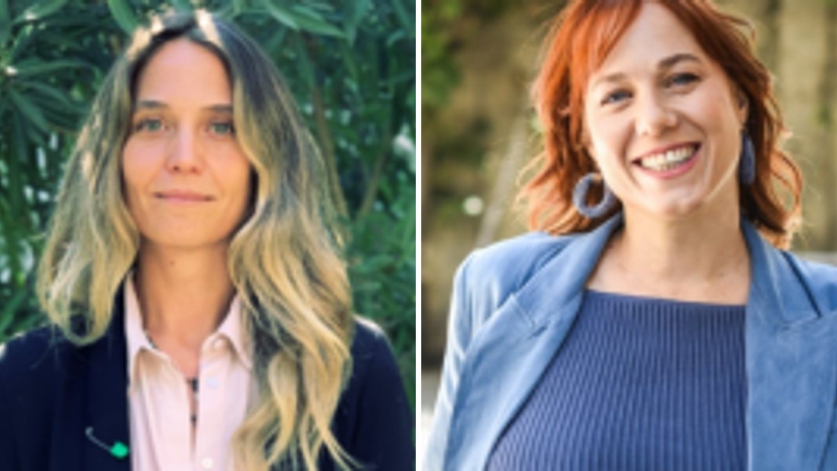 Paloma Infante y Eliana Fischman — ¿Garantiza la institucionalidad ambiental chilena un equilibrio efectivo entre protección ambiental y certeza jurídica para la inversión?