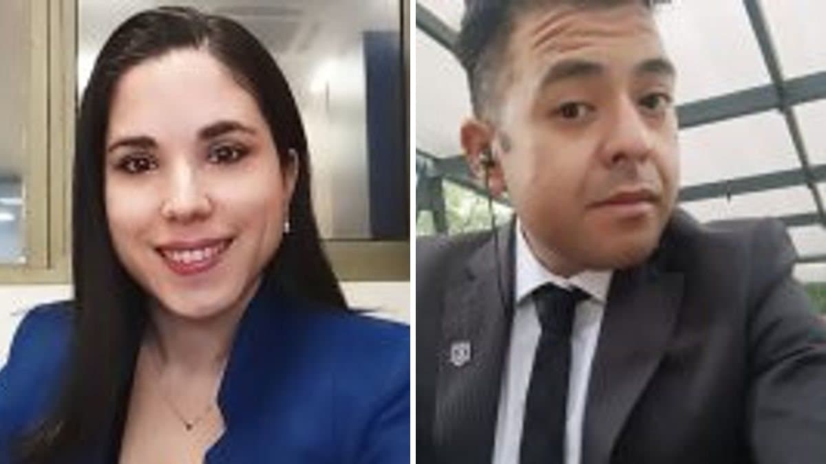 Alejandra Pérez Ceballos y Franccesco Quiñones Tarazona — “Ley Cholito” y participación ciudadana: desafíos en protección animal, legitimidad del proceso y eficacia legislativa