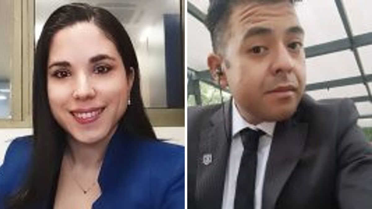 Alejandra Pérez Ceballos y Franccesco Quiñones Tarazona — “Ley Cholito” y participación ciudadana: desafíos en protección animal, legitimidad del proceso y eficacia legislativa