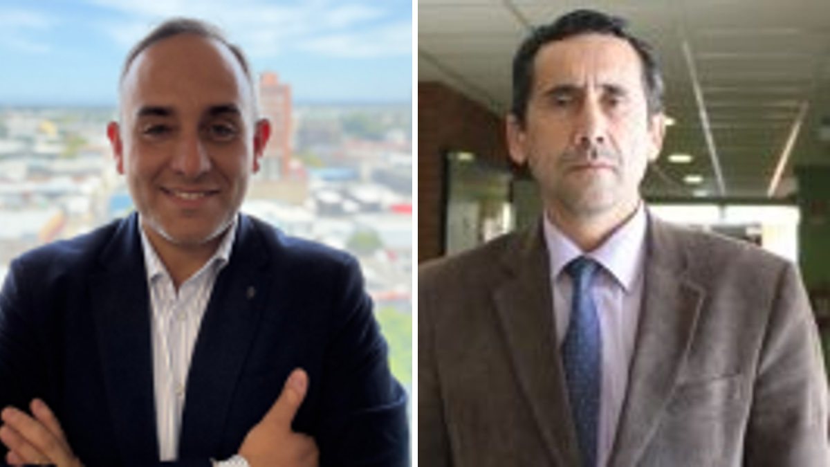 Juan Pablo Seguel y Alfredo Olave Robert — Participación de las Fuerzas Armadas en el resguardo de la seguridad pública: Alcances constitucionales, estándares de derechos humanos y riesgos