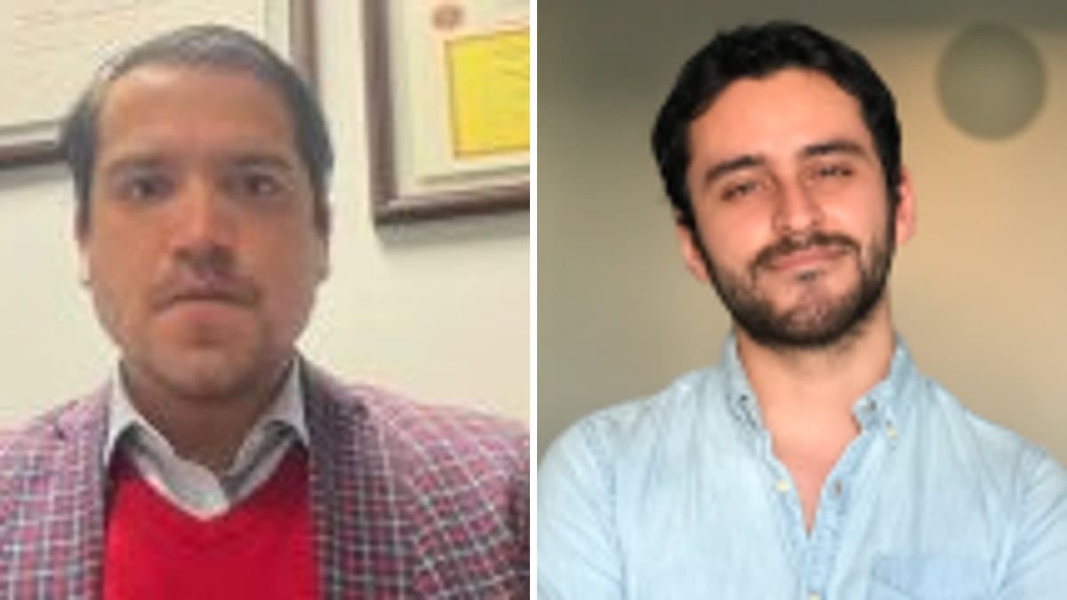 Diego Rodríguez y Diego Torres — Propiedad intelectual e industrial en una eventual nueva Constitución.