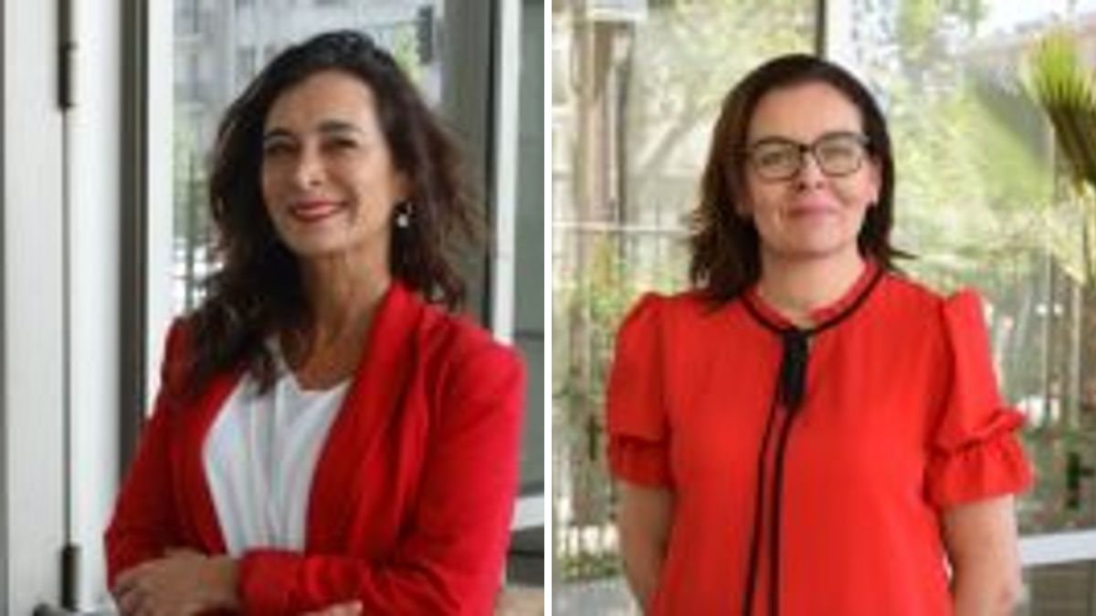 Carolina Cabrera Bove y Militza Glasinovic Gómez — Tribunales de Familia: Falencias y desafíos en la protección de los más vulnerables