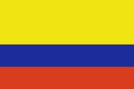 Gobierno colombiano acordó desistirse del proceso iniciado para extraditar a un chileno acusado de colaborar criminalmente con las FARC.