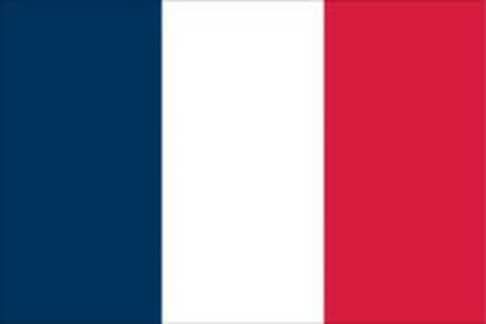 Consejo Constitucional de Francia rechazó solicitud realizada por dos mujeres que impugnaron norma del Código Civil que les impide contraer matrimonio.