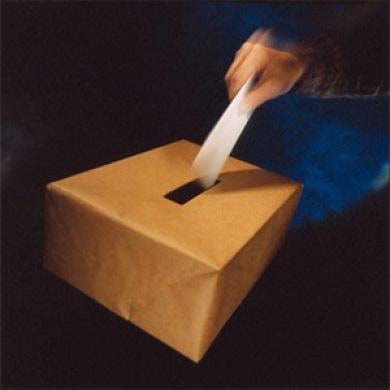 Fue publicada la ley relativa al plazo de renuncia a un partido político para presentar candidaturas independientes.