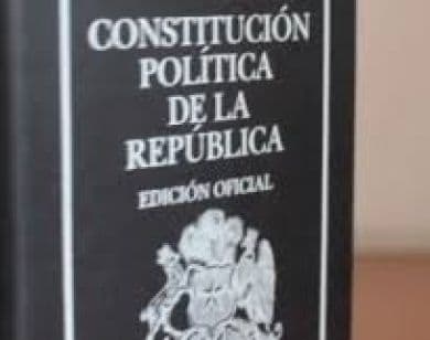 TC decidió recibir presentaciones y citar a una audiencia pública para pronunciarse sobre el fondo de un requerimiento de inconstitucionalidad del artículo 206 del Código Civil.