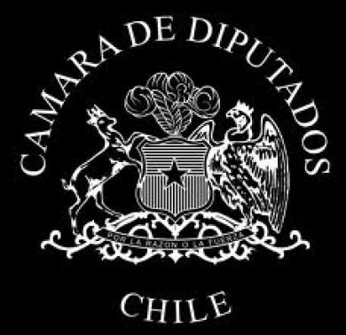 Cámara de Diputados aprobó proyecto de ley sobre reprogramación de créditos universitarios y perfeccionamiento del Fondo Solidario.