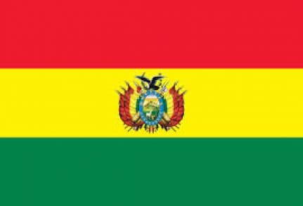 Tribunal Constitucional Plurinacional de Bolivia declaró inconstitucionalidad del delito de desacato.