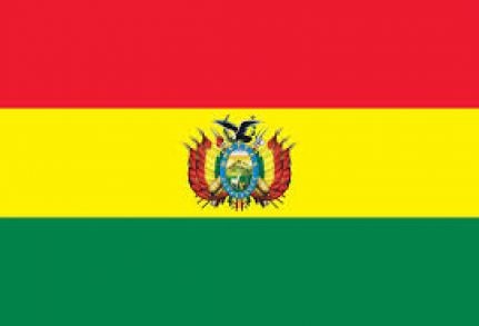 Tribunal Constitucional Plurinacional de Bolivia permite reelección del Presidente Evo Morales.