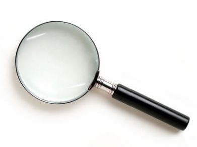 TC se pronunciará sobre la admisibilidad de inaplicabilidad que impugna normas de la Ley de Transparencia.