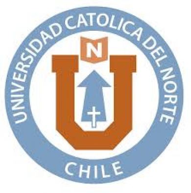 “¿Es necesaria una nueva Constitución para Chile?”