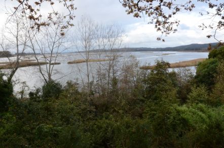 Tribunal Ambiental de Valdivia acogió reclamación contra resolución en caso de predio “Tres Bocas”.