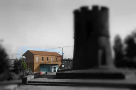 Tribunal Ambiental de Valdivia sesionó en la ciudad de Punta Arenas.