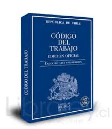 Tribunal Laboral acogió tutela de derechos fundamentales por despido injustificado en razón de homosexualidad de trabajadora