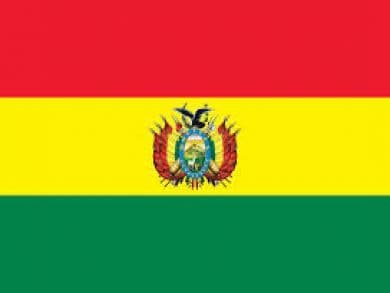 Tribunal Constitucional Plurinacional de Bolivia desestimó tutela de derechos presentada por imputada.