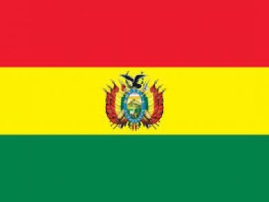Tribunal Constitucional Plurinacional de Bolivia desestimó tutela de derechos presentada por imputada.