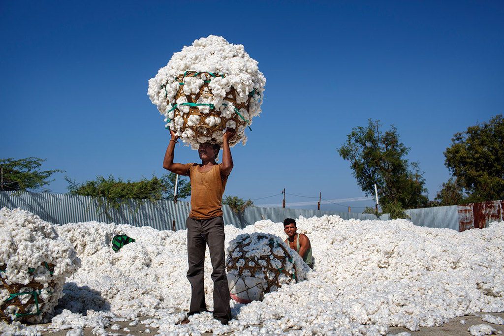 Acerca de la agricultura sustentable en India.