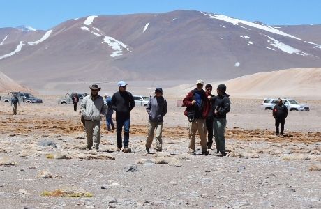Segundo Tribunal Ambiental llevó a cabo visita inspectiva a humedales que se habrían visto afectados por operaciones de Minera Maricunga.