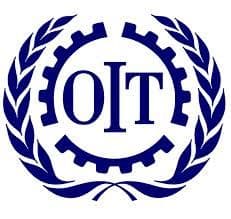 Informe de la OIT contradice fallo del TC señalando que sindicatos tienen más derechos que grupos negociadores.