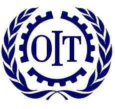 Informe de la OIT contradice fallo del TC señalando que sindicatos tienen más derechos que grupos negociadores.
