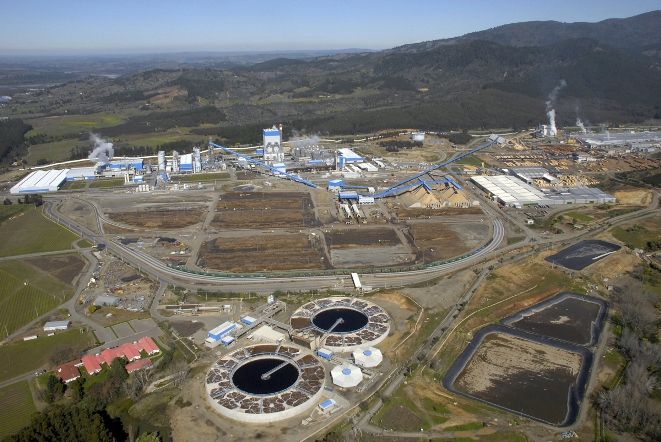 CS confirma decisión del Tribunal Ambiental de Valdivia sobre proyecto de celulosa en Arauco.