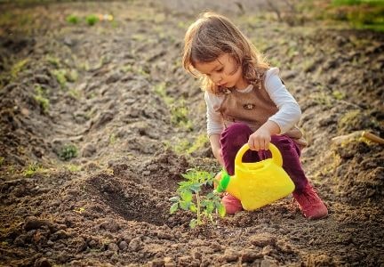 ONU recuerda el Día Mundial del Medio Ambiente.