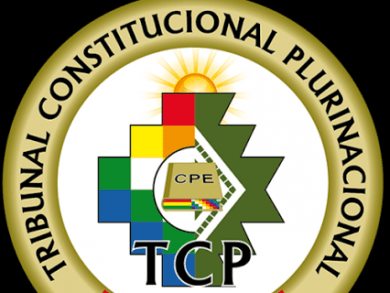Fuertes críticas se han formulado al TC Plurinacional de Bolivia que admitió recurso para validar nueva candidatura presidencial de Evo Morales.