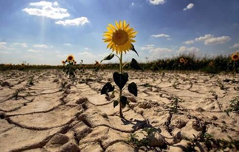 Acerca de “La autoridad de cambio climático con la que Australia pretende cumplir el Acuerdo de París”.