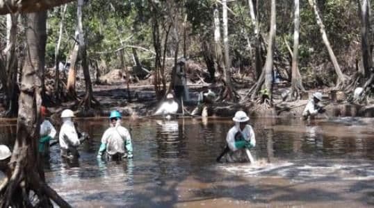 CIDH otorga medida cautelar a favor de las comunidades de Cuninico y San Pedro en Loreto, Perú.