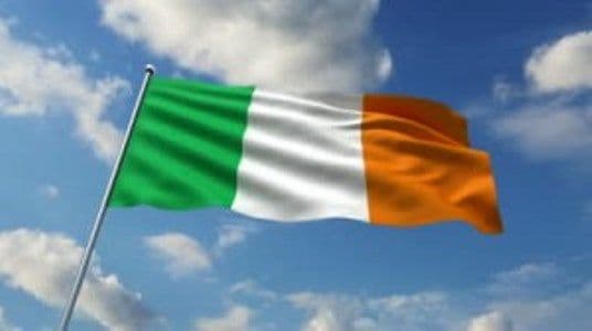 Gobierno de Irlanda avanza en preparativos para celebrar referéndum del aborto.