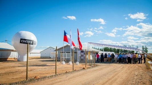 Segundo Tribunal Ambiental rechazó reclamación contra SEA por proyecto de manejo de residuos orgánicos de plantel porcino ubicado en San Javier.