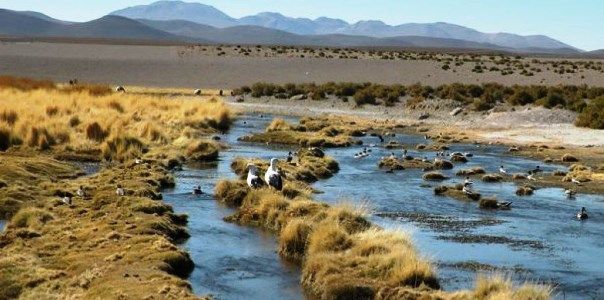 Parlamentarios analizaron demanda de Chile contra Bolivia por Río Silala.