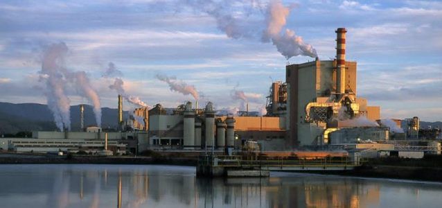 Tercer Tribunal Ambiental escuchó alegatos en demanda contra Planta Horcones de Celulosa Arauco.